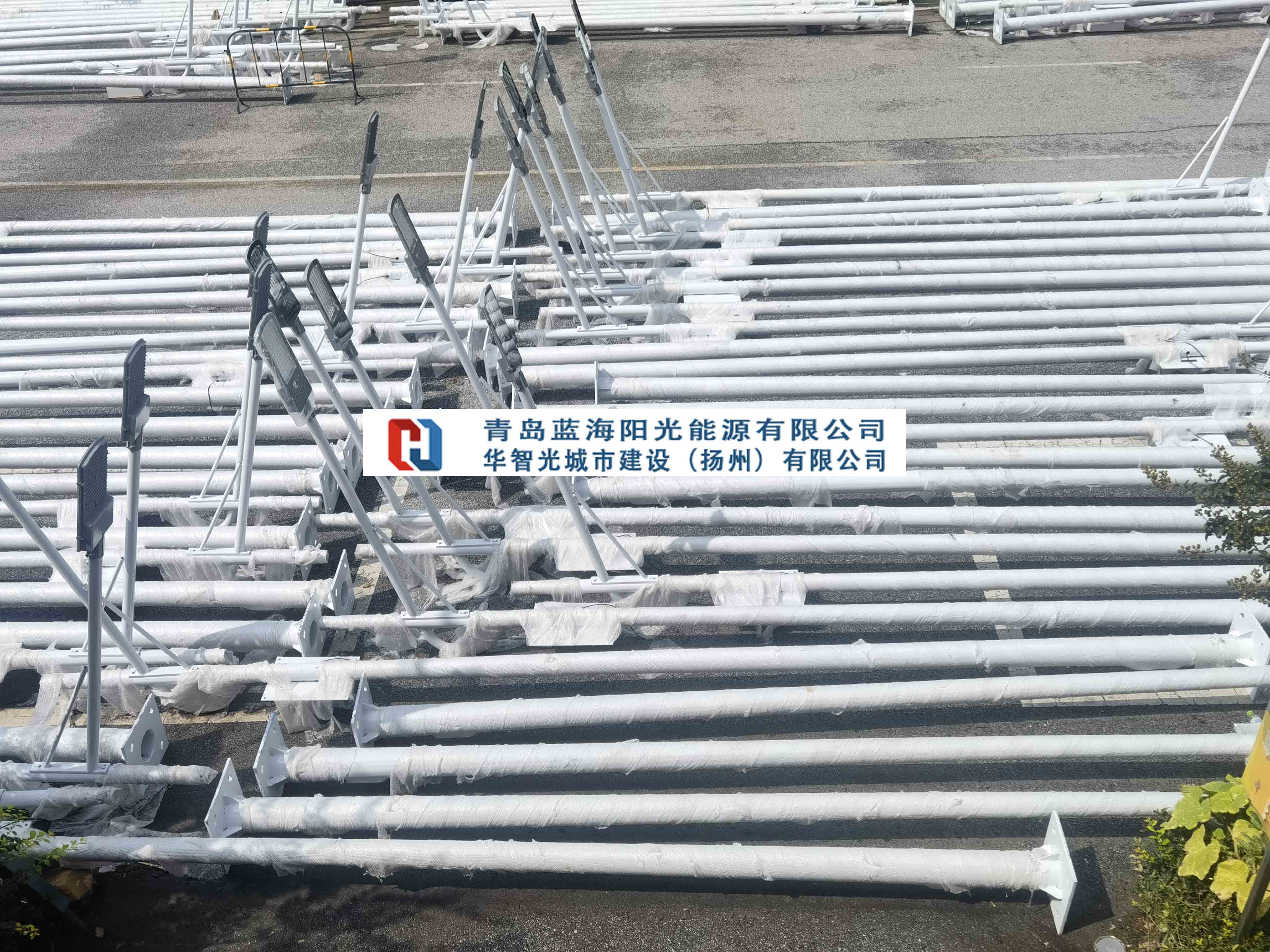 青岛加工生产路灯厂家-蓝海阳光